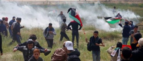 palestina_protestas-590x255